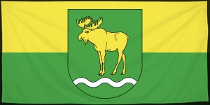 Флаг